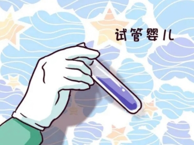 关于三代试管供卵生男孩